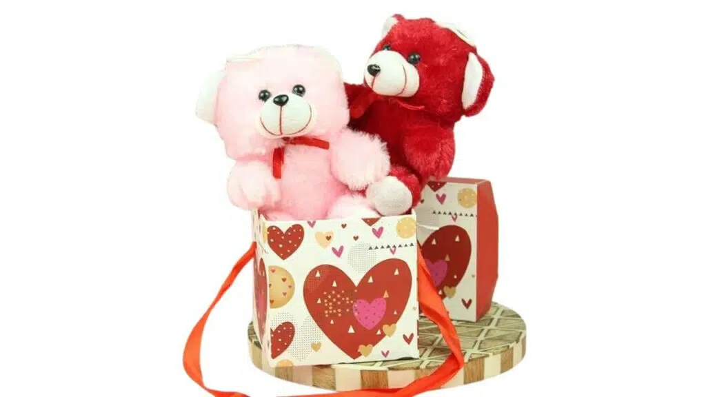 Valentine-Day-Gifts-Under-1000